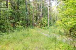 00 MCKEE AVENUE | North Kawartha Ontario | Slide Image Six
