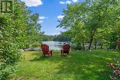18 - 1579 ANSTRUTHER LAKE ROAD | Apsley Ontario | Slide Image Forty-eight