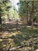LOT 4 MARITIME ROAD | Kawartha Lakes Ontario | Slide Image Three