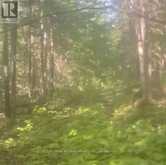 LOT 4 MARITIME ROAD | Kawartha Lakes Ontario | Slide Image Seven