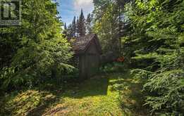 843 JACK LAKE ROAD | Apsley Ontario | Slide Image Thirty-seven