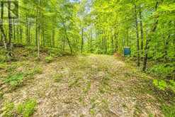 2328B ROAD 506 | Addington Highlands Ontario | Slide Image Fifteen