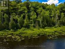 2328B ROAD 506 | Addington Highlands Ontario | Slide Image Twenty-one