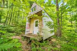 2328B ROAD 506 | Addington Highlands Ontario | Slide Image Eight