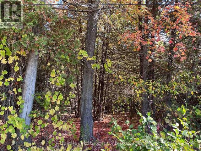 0 KOA ROAD Marmora Ontario, K0K 2M0 - Vacant Land For Sale