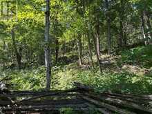 164 SUGAR BUSH ROAD | Coboconk Ontario | Slide Image Thirty-four