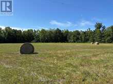 164 SUGAR BUSH ROAD | Coboconk Ontario | Slide Image Twenty-four