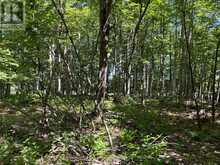 164 SUGAR BUSH ROAD | Coboconk Ontario | Slide Image Thirty-one