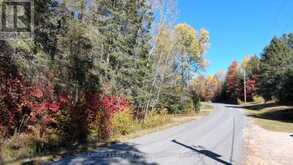 178 GAEBEL ROAD | Bancroft Ontario | Slide Image Thirty-two