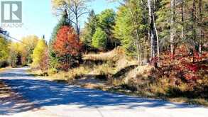 178 GAEBEL ROAD | Bancroft Ontario | Slide Image Three