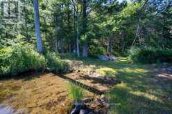 174 FIRE ROUTE 55 | Apsley Ontario | Slide Image Thirty-six