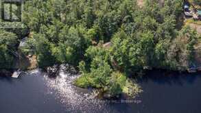 174 FIRE ROUTE 55 | Apsley Ontario | Slide Image Forty-four