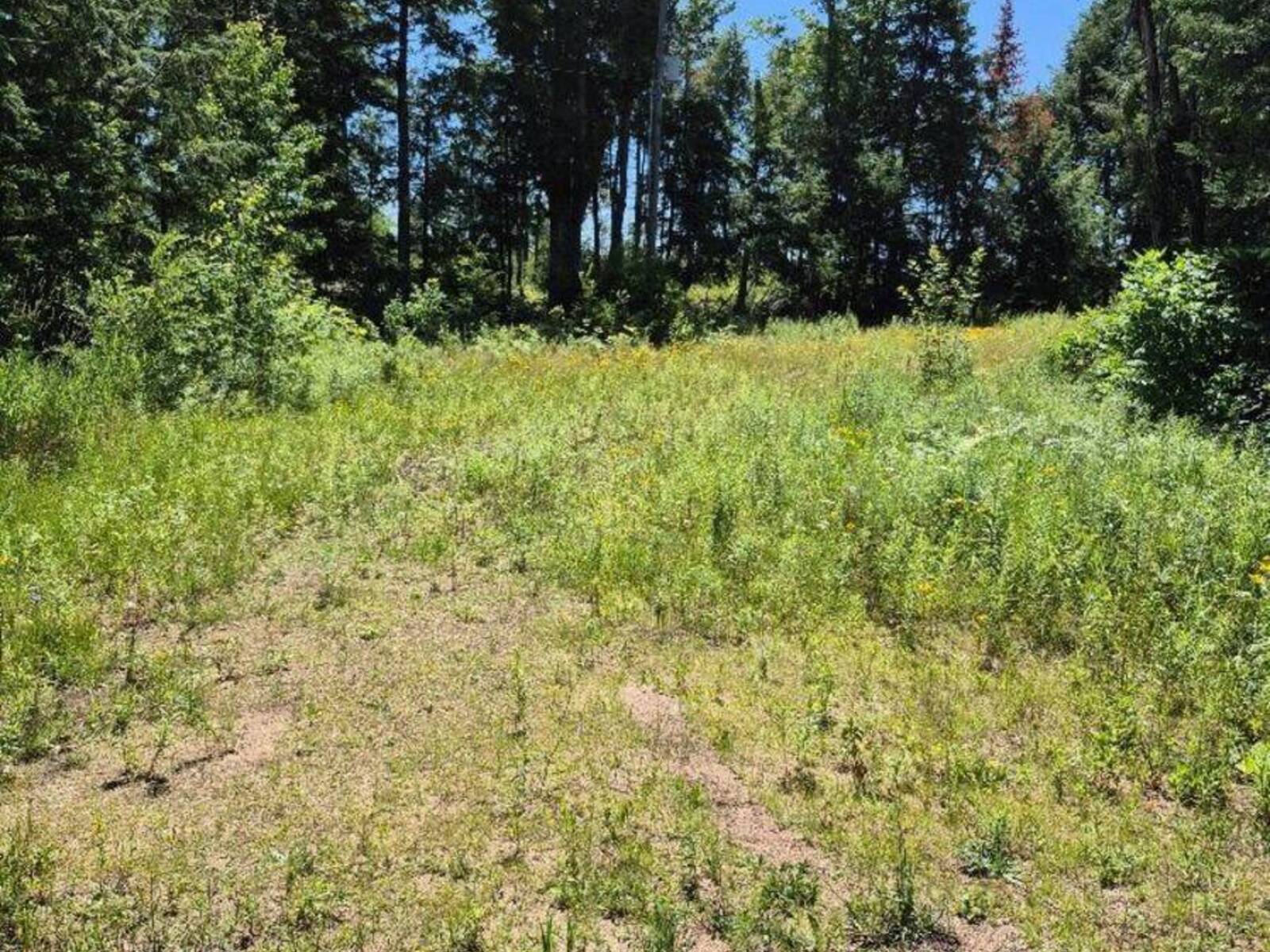 LOT 15 NORTH STEENBURG LAKE ROAD, Coe Hill, Ontario K0L 1P0