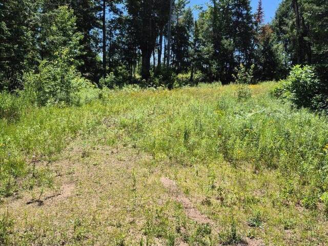 LOT 15 NORTH STEENBURG LAKE ROAD Coe Hill Ontario, K0L 1P0 - Vacant Land For Sale