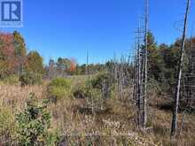 00 KOA ROAD | Marmora Ontario | Slide Image Two