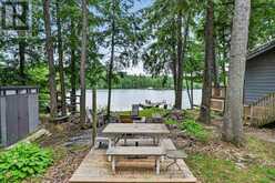 442 ISLAND 7 STONEY LAKE | North Kawartha Ontario | Slide Image Twenty-six
