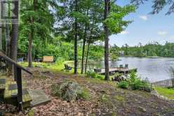442 ISLAND 7 STONEY LAKE | North Kawartha Ontario | Slide Image Twenty-seven