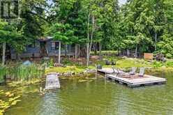 442 ISLAND 7 STONEY LAKE | North Kawartha Ontario | Slide Image Thirty-eight