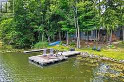 442 ISLAND 7 STONEY LAKE | North Kawartha Ontario | Slide Image Forty-three