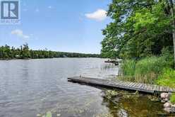442 ISLAND 7 STONEY LAKE | North Kawartha Ontario | Slide Image Five
