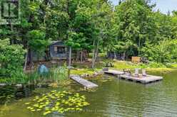 442 ISLAND 7 STONEY LAKE | North Kawartha Ontario | Slide Image Forty-five