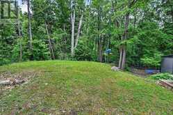 442 ISLAND 7 STONEY LAKE | North Kawartha Ontario | Slide Image Forty-two