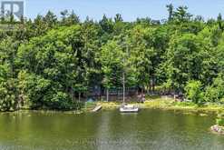 442 ISLAND 7 STONEY LAKE | North Kawartha Ontario | Slide Image Forty-six