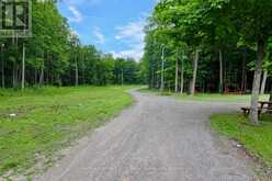 507 FRENCH SETTLEMENT ROAD | Tweed Ontario | Slide Image Forty-six