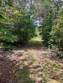 680 COUNTY ROAD 49 | Prince Edward Ontario | Slide Image Seven