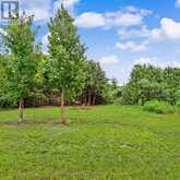 2260 BUCKHORN ROAD | North Kawartha Ontario | Slide Image Thirty-four
