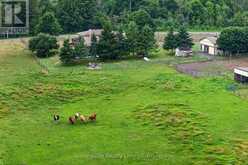 2397 SETTLERS LINE | Douro-Dummer Ontario | Slide Image Thirty-four