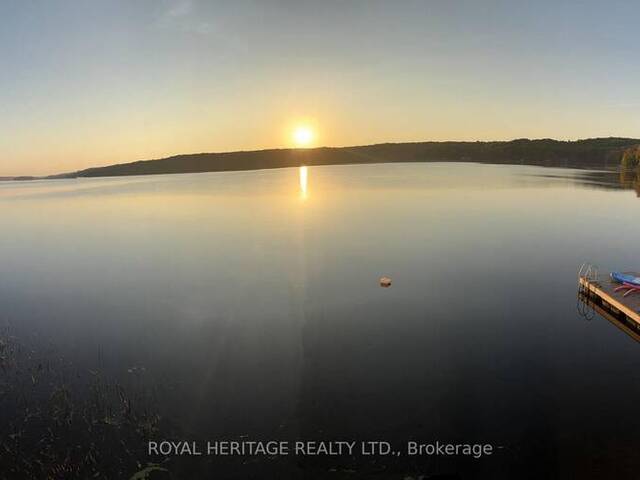 13258 HIGHWAY 62 WAY N Madoc Ontario, K0K 2K0 - 2 Bedrooms Waterfront Home For sale