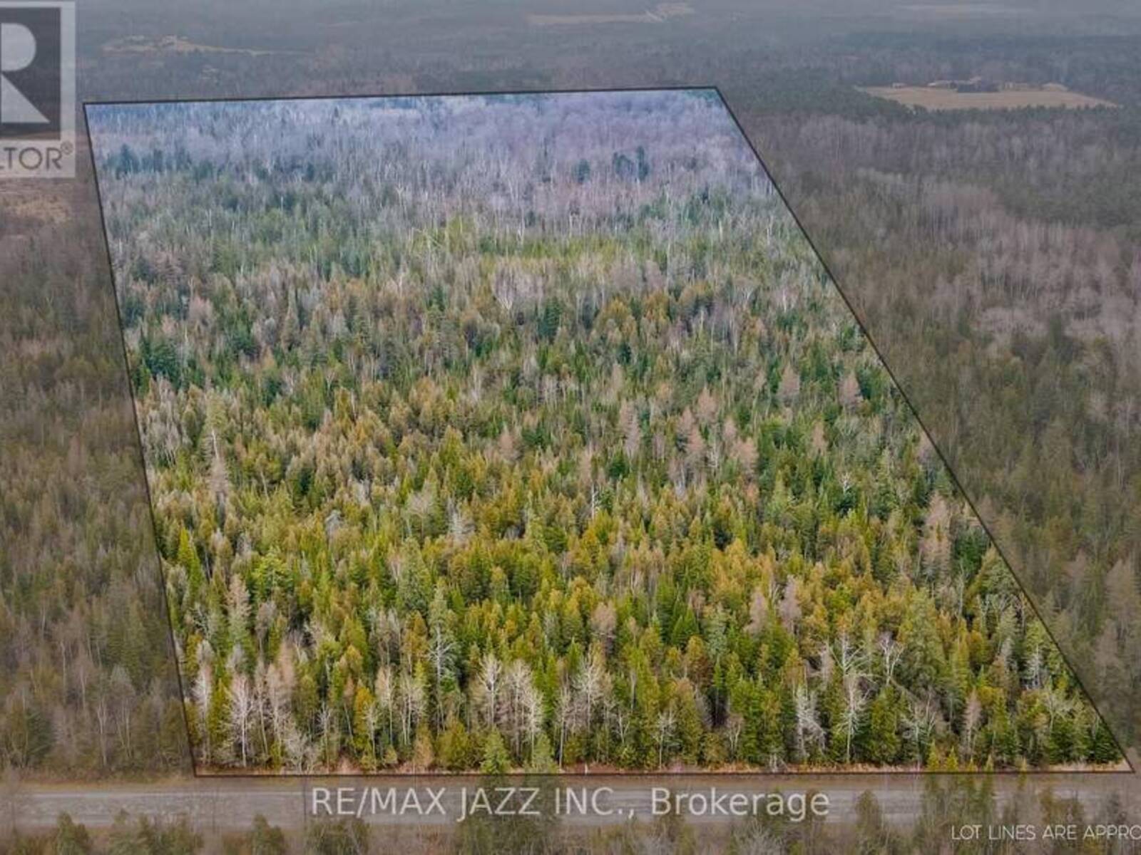 0 BALLYDUFF ROAD, Kawartha Lakes, Ontario L0A 1K0