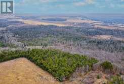 0 BALLYDUFF ROAD | Kawartha Lakes Ontario | Slide Image Thirteen