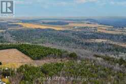 0 BALLYDUFF ROAD | Kawartha Lakes Ontario | Slide Image Seventeen