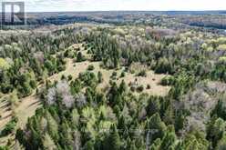 PT LTS 11 & 12 AS PART 2, CLYDESDALE ROAD | Apsley Ontario | Slide Image Eight