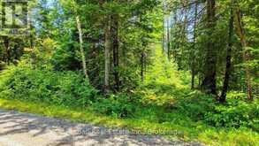 0 CLYDESDALE ROAD | Apsley Ontario | Slide Image Twelve