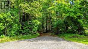 0 CLYDESDALE ROAD | Apsley Ontario | Slide Image Thirty-one