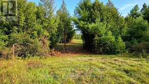 0 CLYDESDALE ROAD | Apsley Ontario | Slide Image Three