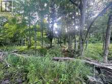 LOT 86 KENNEDY DRIVE | Bobcaygeon Ontario | Slide Image Six