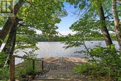 743 BAPTISTE LAKE NORTH SHORE | Bancroft Ontario | Slide Image Fifteen