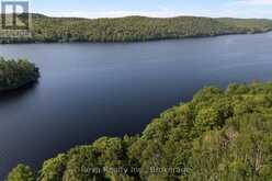 743 BAPTISTE LAKE NORTH SHORE | Bancroft Ontario | Slide Image Thirty-two