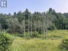 PTLT 10 CON 1 VERNONVILLE ROAD | Alnwick-Haldimand Ontario | Slide Image Seven
