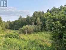 PTLT 10 CON 1 VERNONVILLE ROAD | Alnwick-Haldimand Ontario | Slide Image Eight