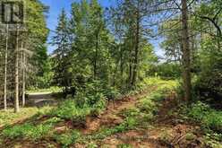 00 OTTER CREEK ROAD | Tweed Ontario | Slide Image Ten