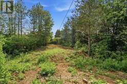 00 OTTER CREEK ROAD | Tweed Ontario | Slide Image Twelve