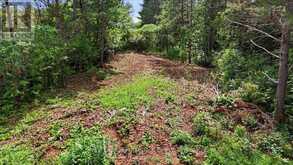 00 OTTER CREEK ROAD | Tweed Ontario | Slide Image Four