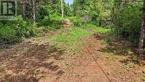 00 OTTER CREEK ROAD | Tweed Ontario | Slide Image Five