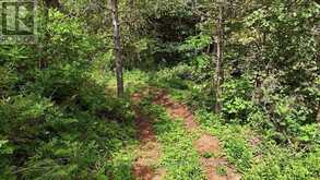 00 OTTER CREEK ROAD | Tweed Ontario | Slide Image Seven