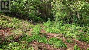 00 OTTER CREEK ROAD | Tweed Ontario | Slide Image Eight